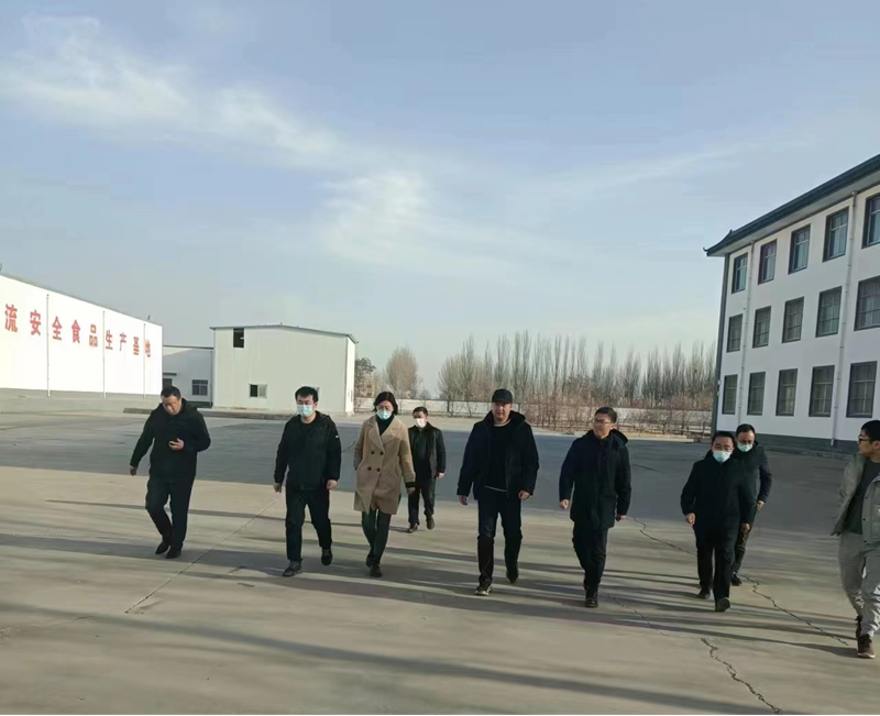 石嘴山市副市長、惠農區(qū)委書記王宇翔蒞臨寧夏興康恒潤農業(yè)科技發(fā)展有限公司調研